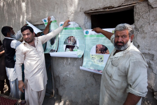 The Farmer Field Schools cover different topics, such as medical care, hygiene for milk collectiong, proper stabling for buffalo. Graham Crouch/World Bank